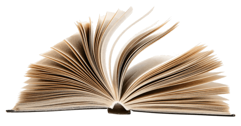 Wasabara AI creative assistant Lobo for authors